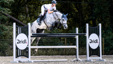 Beyond showjumping: The impressive lineage of Chacoon's Life PS & Camargo