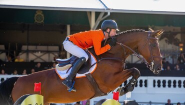 Europe’s best breeders unite in StuDutch auction