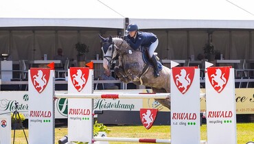 Top show jumpers in August auction of Dutch Horse Trading