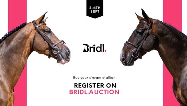 Bridl's top 2 stallions: Nothing Els Matters EBH & Mick Jagger