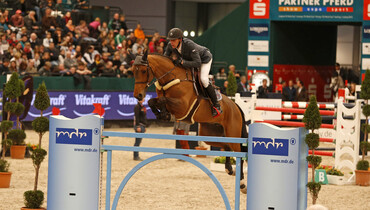 Quismy des Vaux HDC injured at the stables during the CSIO5* St Gallen