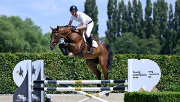 Young Champions Auction is back for its second edition, featuring young talented horses!