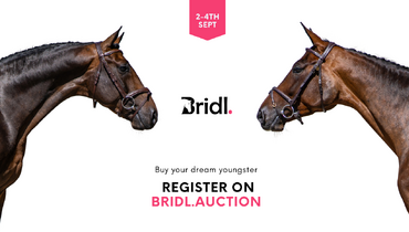 Two top showjumpers: Limited-time sale in our deal-room