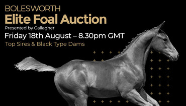 Bolesworth Elite Auction collection set to break the hearts of the underbidders – Don’t miss out!!