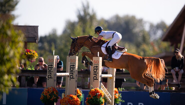 Chad can't be caught in CSI3* George & Dianne Tidball Legacy 1.45m