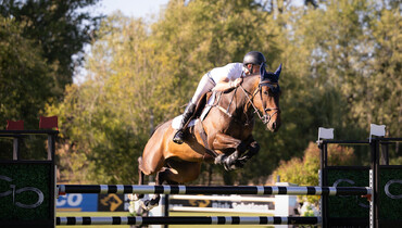 Victorious reunion for Sampson and Curraghgraigue Obos Flight in CSI3* tbird Challenge