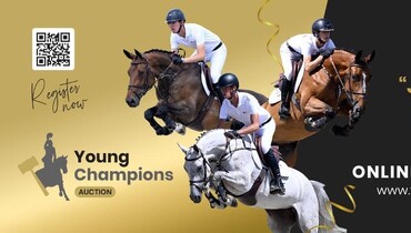 Bid on your equestrian dreams tonight!
