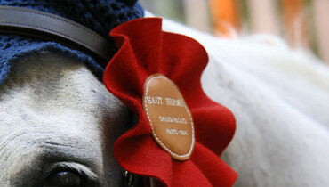 This weekend's CSI2* Grand Prix winners