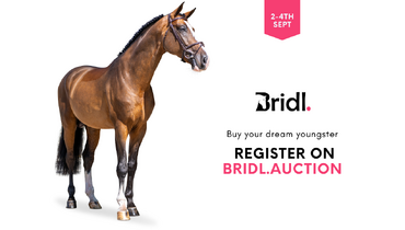 The Grand Finale: BRIDL’s Premier Auction starts in 5 days