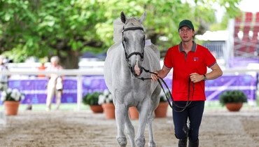 All horses pass first veterinary inspection at the FEI Jumping European Championship 2023