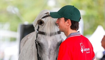 Cuddles and snuggles at the FEI Jumping European Championship 2023