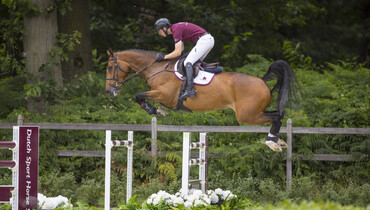Two Championship-winning youngsters in the Dutch Sport Horse Sales collection