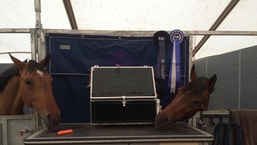 Andrea Hoenack: The international ring looks amazing!