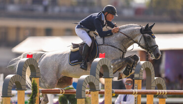 The Swedish team for the Olympic Games in Paris announced