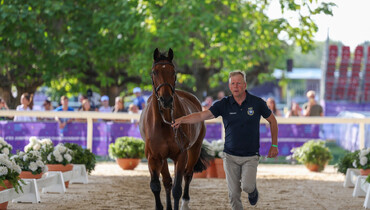 Second horse inspection sees 24 horses fit to compete in Milan