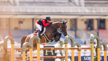 The Austrian team for the Olympic Games in Paris announced
