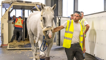 Touchdown at YYC for the 2023 Spruce Meadows ‘Masters’