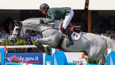 Michael Duffy: “Spending time with the horses is reward enough”