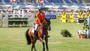Highway TN N.O.P. voted as KWPN Jumping Horse of the Year 2023
