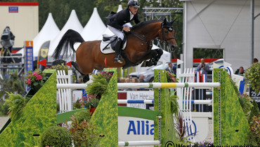 Comme il faut, Romanov and Singular LS La Silla approved by KWPN