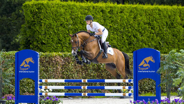 ‘Eyes on it’s hooves’ | The stars of tomorrow at Tops International Auction