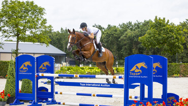 Championship bloodlines at Tops International Auction