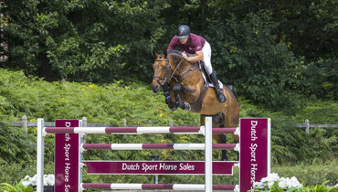 Champions and future champions form the Dutch Sport Horse Sales collection