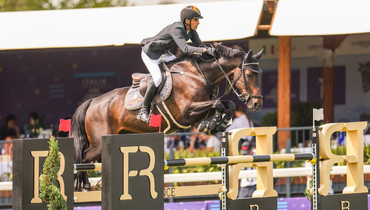 Manuel Fernandez Saro's Jarlin de Torres sold to Al Shira'aa Stables