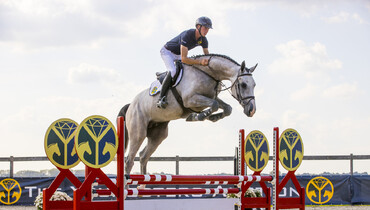 One week until The Youngsters Auction | 3- & 4-year-olds Edition