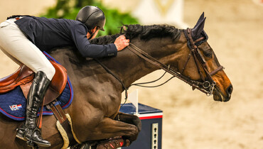 VDL Groep Miss Untouchable retired from the sport