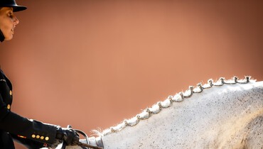 Out and about at the Royal Club Equestre Dar Es Salam in Rabat