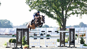 Holger Hetzel Sport Horse Sales presents: Crazy in Love