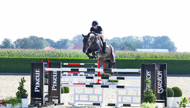 Holger Hetzel Sport Horse Sales presents: Man in Black