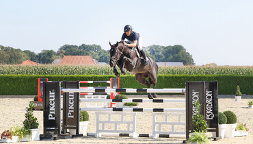 Holger Hetzel Sport Horse Sales presents: Perfetto