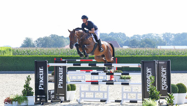 Holger Hetzel Sport Horse Sales presents: Space Taxi