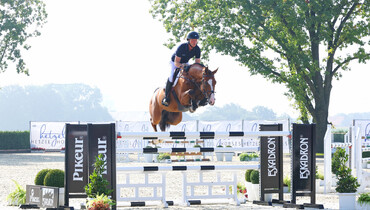 Holger Hetzel Sport Horse Sales presents: Ti Amo