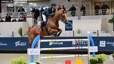 Julien Epaillard and Dubai du Cedre win the CSI4* 1.50m Prix Ville de Saint-Lô et Saint-Lô Agglo