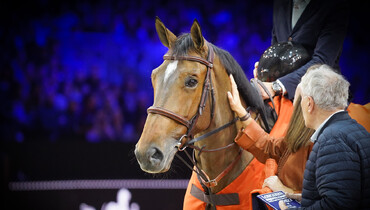 Olga van de Kruishoeve tops the first WBFSH Breeder Ranking for jumping horses of 2024