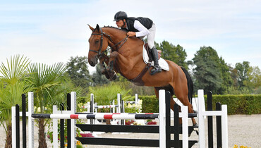 “Every horse or embryo… we 200% believe in!” Champions of Tomorrow countdown is on!