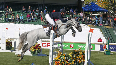 HH Dark de la Hart injured during the derby at Spruce Meadows