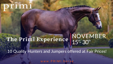 Equestrian revolution: Fair prices, unparalleled quality at Prīmī's 3rd edition!