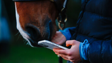Proposed FEI rule changes to be voted on this week - Hong Kong hosts FEI General Assembly 2025