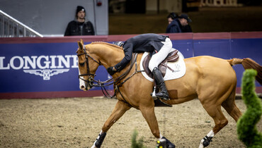 Kent Farrington’s Creedance retires from the sport: “You have to put your horse first and your ego aside”