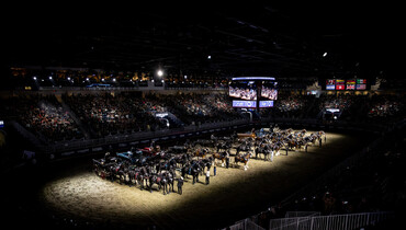 Highlights from Toronto Royal Horse Show, part two