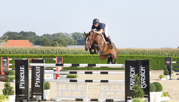 Holger Hetzel Sport Horse Sales presents: Barbie Girl