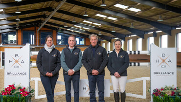 The Brilliance Horse Auction Company – Presented by The Billy Stud and Breen Equestrian LTD