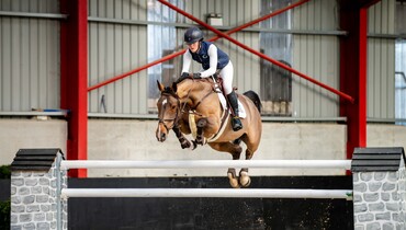 Ballypatrick Auction collection 2023 unveiled: Showcasing superstar pedigrees and top-performing horses