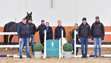 Elevate your riding experience: Unveiling Five Star Horse Auction's exclusive sporthorse collection