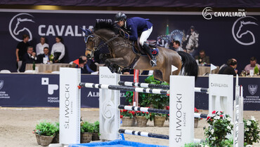 Pim Mulder and Viktor Z victorious at the Cavaliada Tour in Poznan