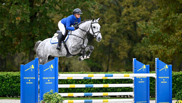 Zangersheide Online Auction: Get ready for the Young Horses selection!